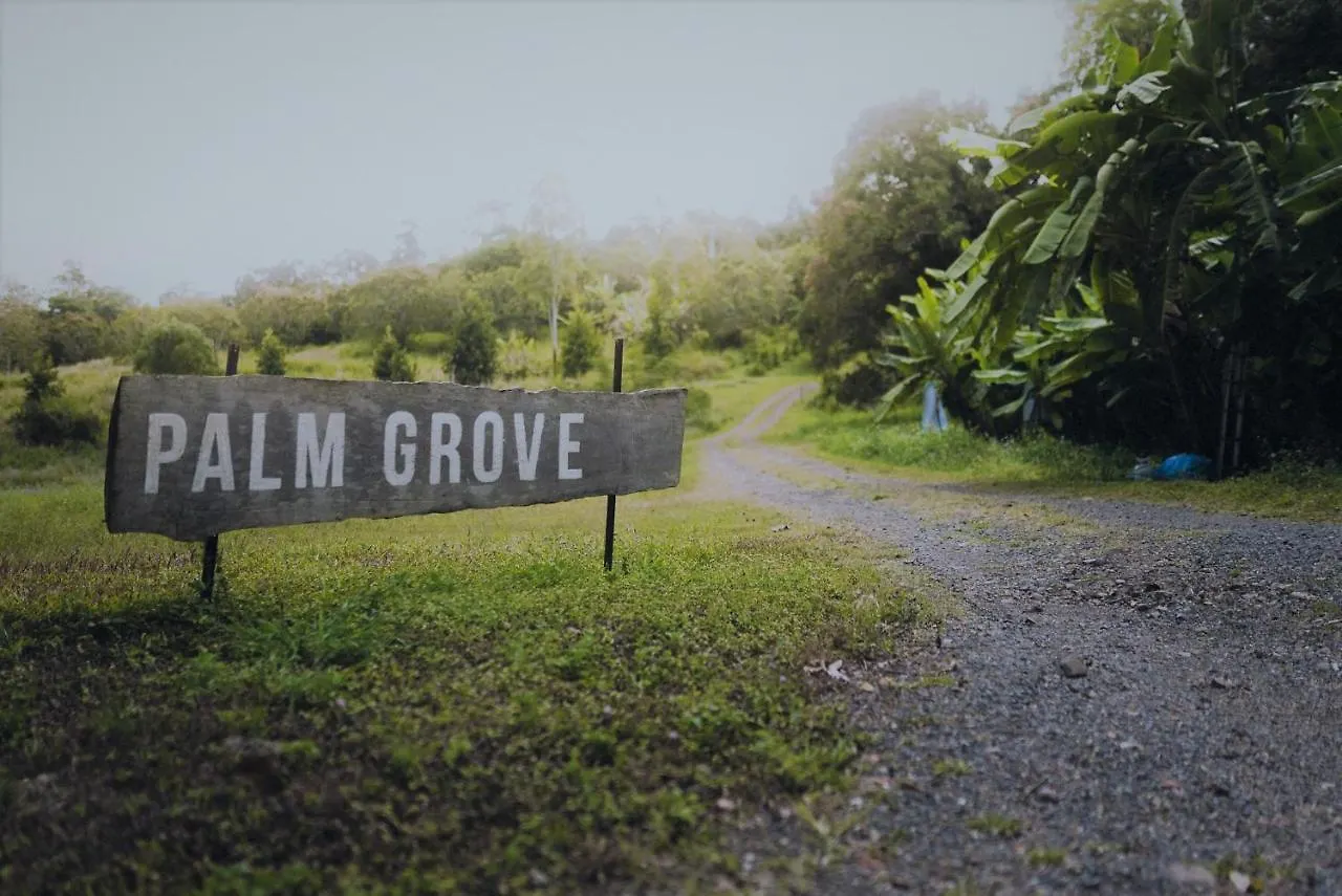 Palm Grove Rainforest Retreat